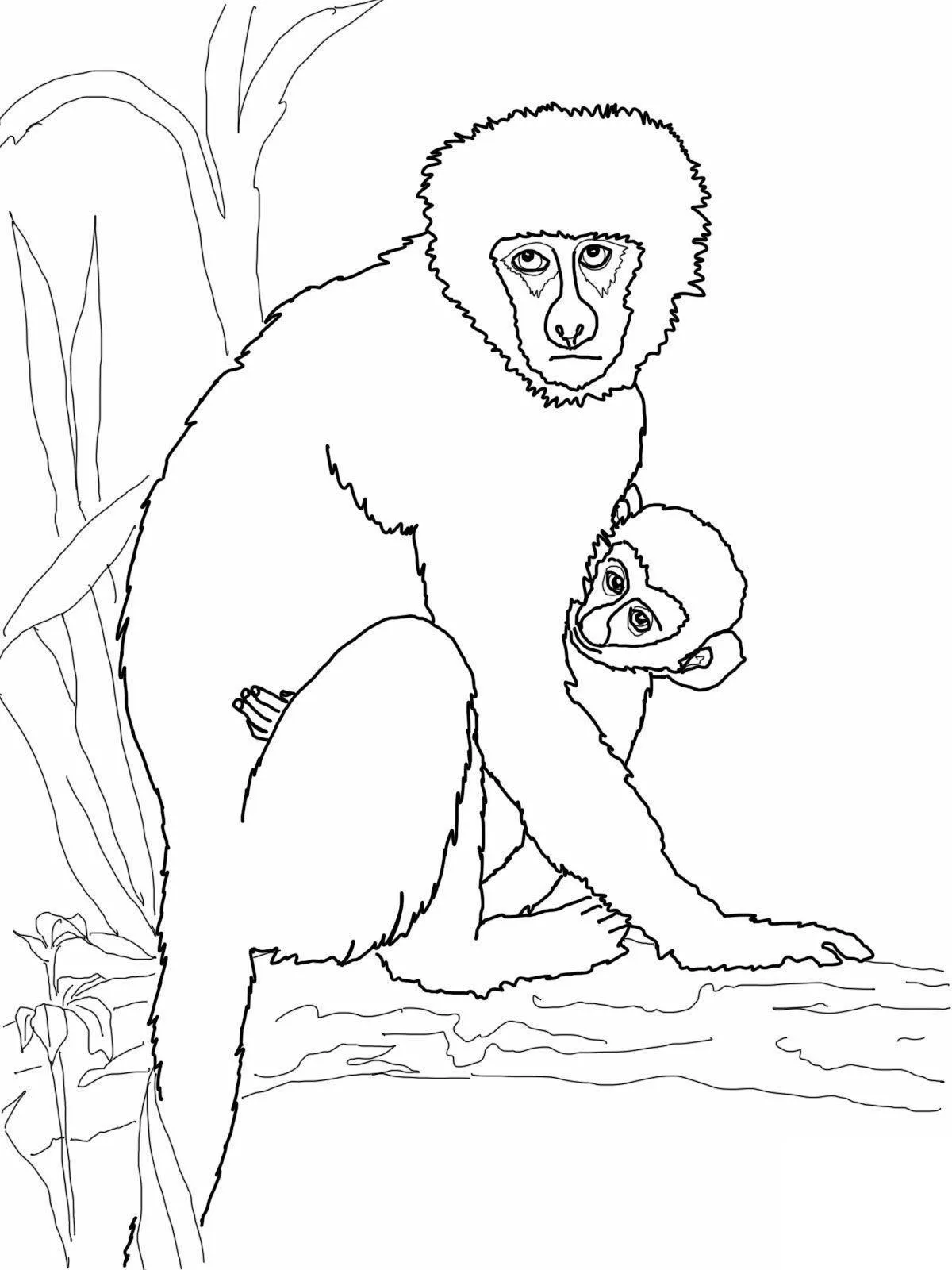 Monkeys Coloring Pages – 012