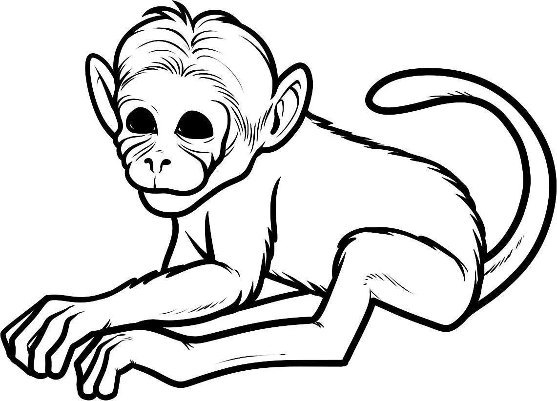 Monkeys Coloring Pages – 013