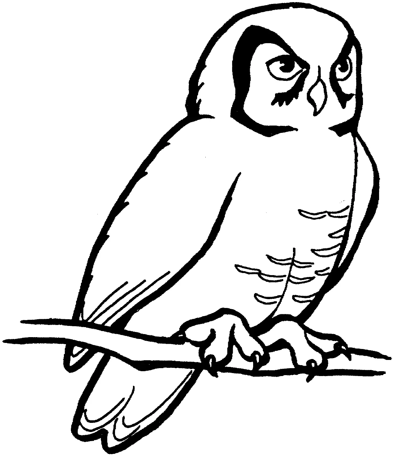Owls Coloring Pages – 003