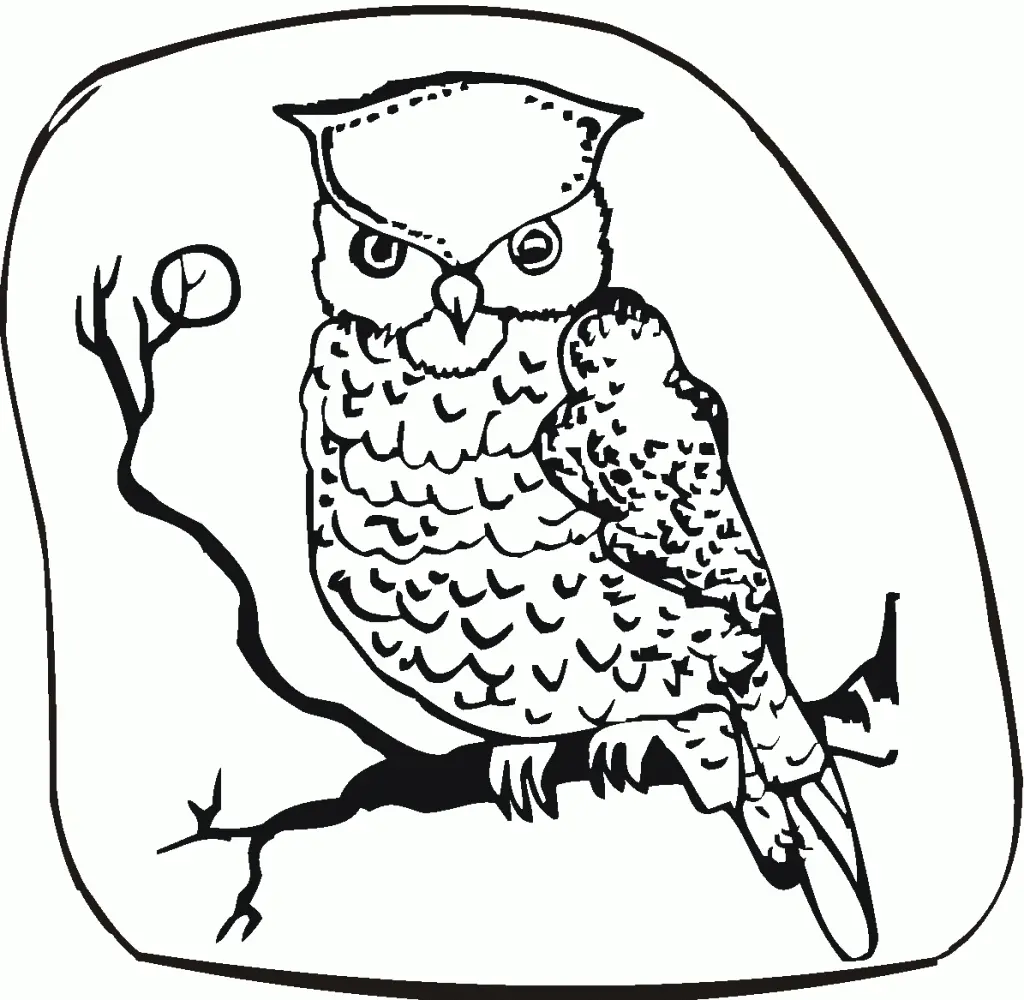 Owls Coloring Pages – 006
