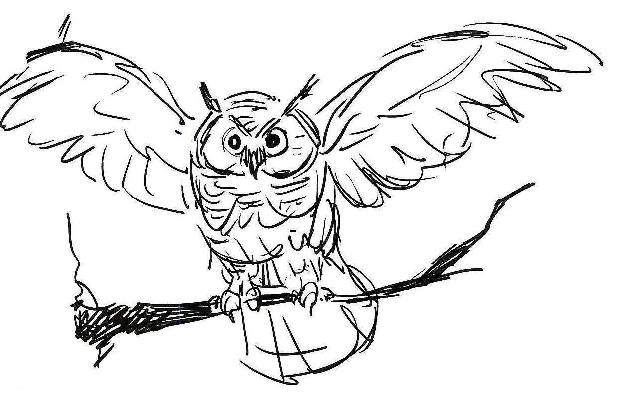 Owls Coloring Pages – 012