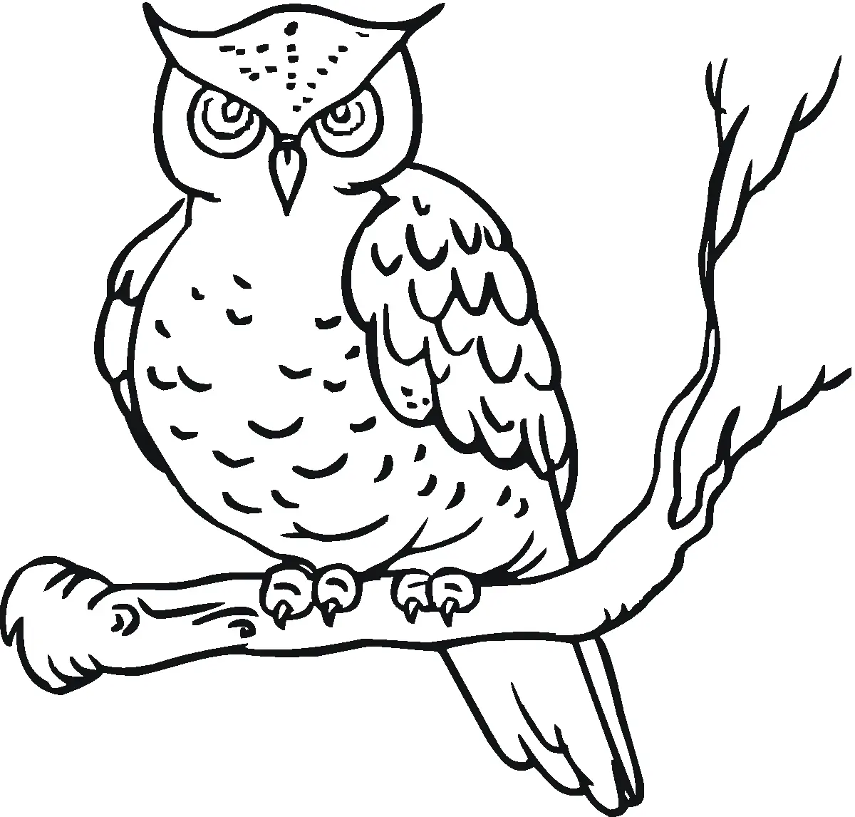 Owls Coloring Pages – 015