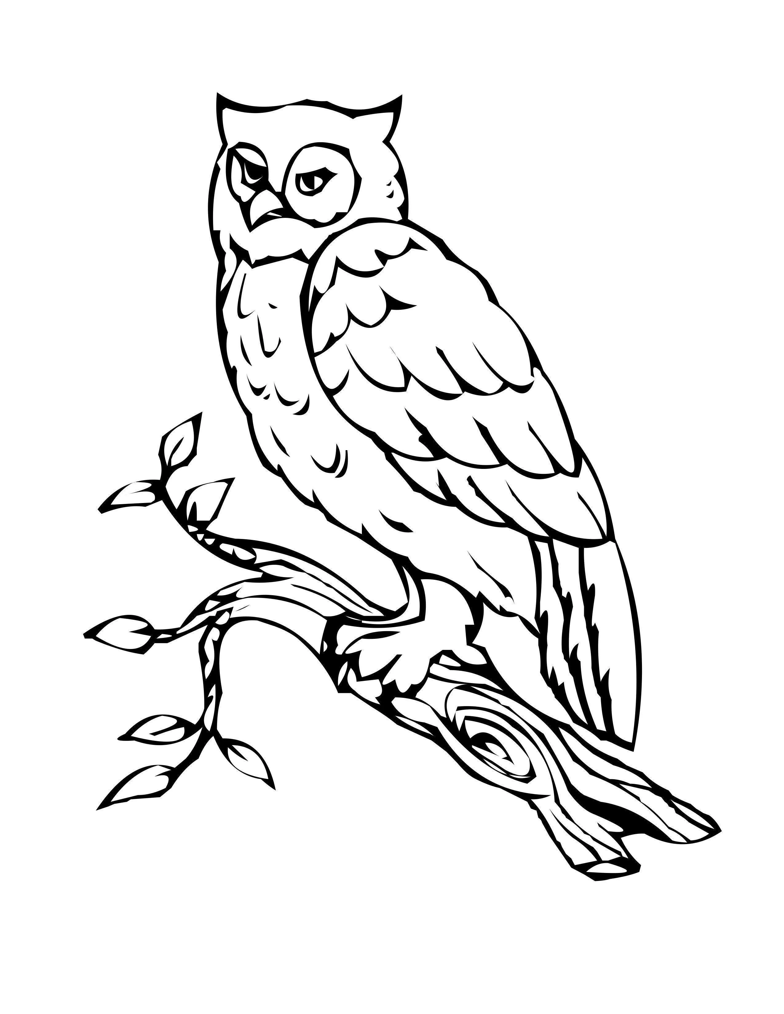 Owls Coloring Pages – 021