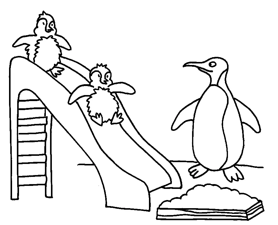 Penguins Coloring Pages – 005