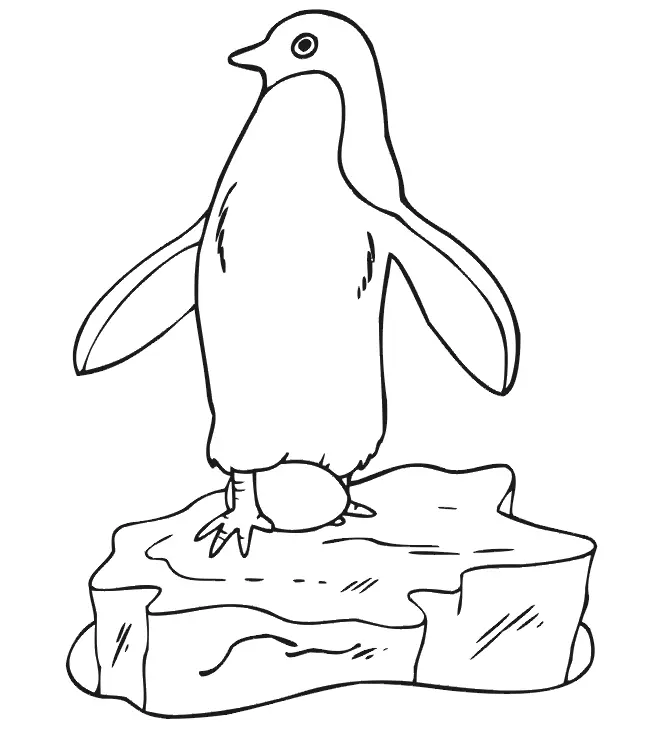 Penguins Coloring Pages – 009