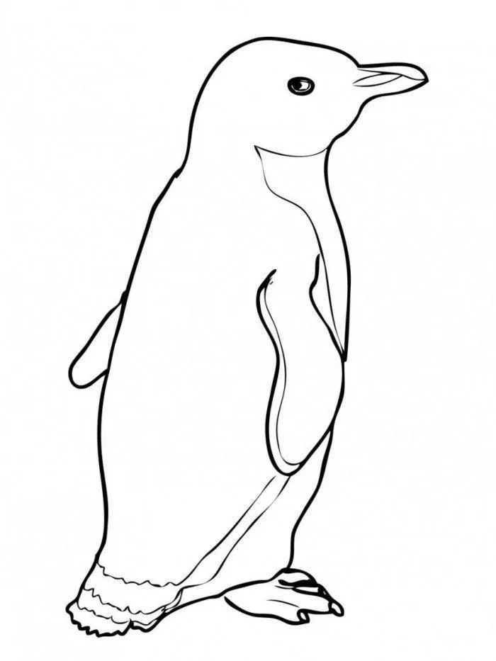 Penguins Coloring Pages – 014