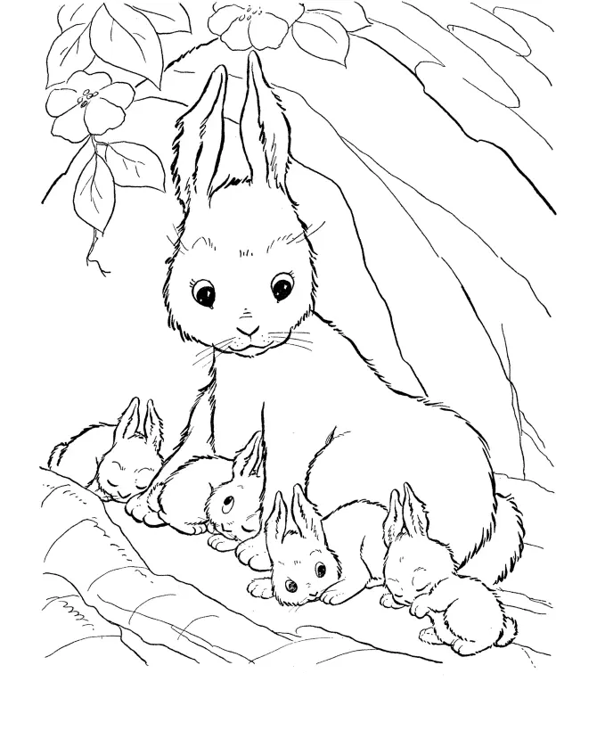 Rabbits Coloring Pages – 002