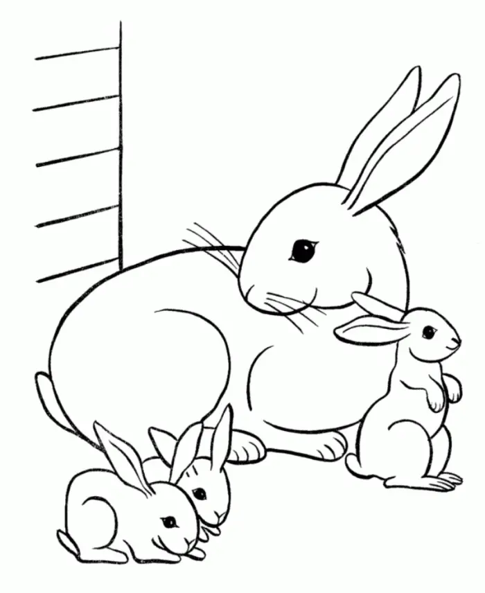 Rabbits Coloring Pages – 005