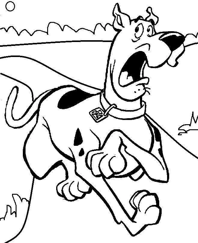 Scooby Doo – 002