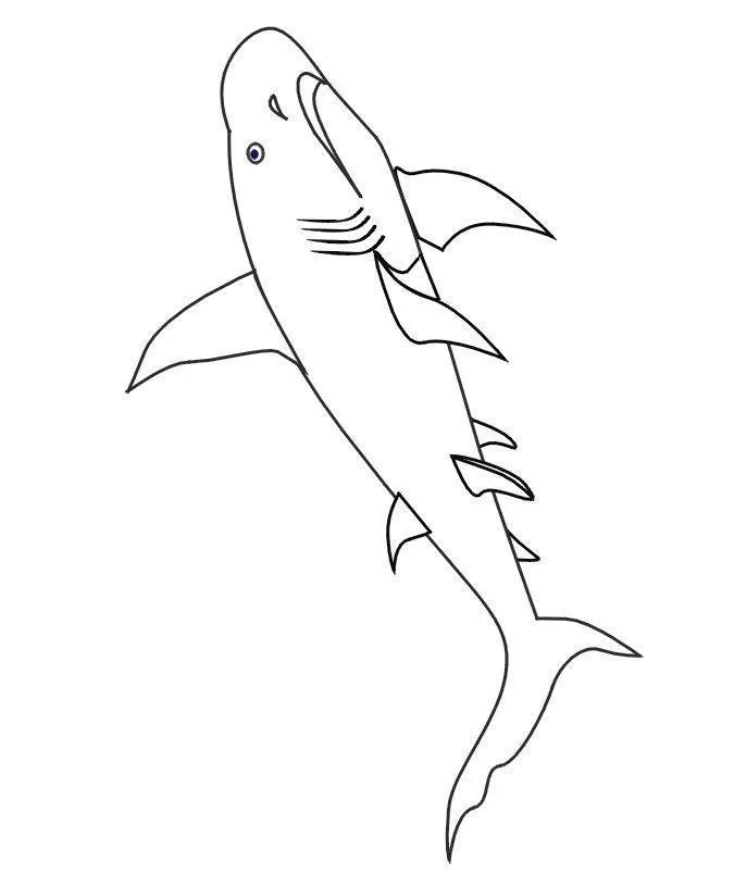 Sharks Coloring Pages – 004