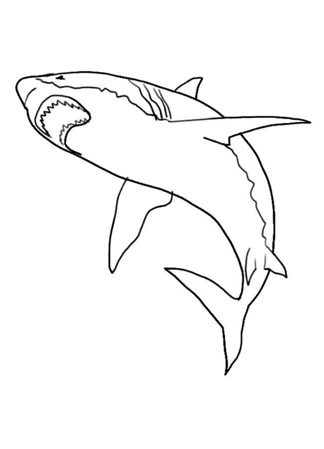Sharks Coloring Pages – 013