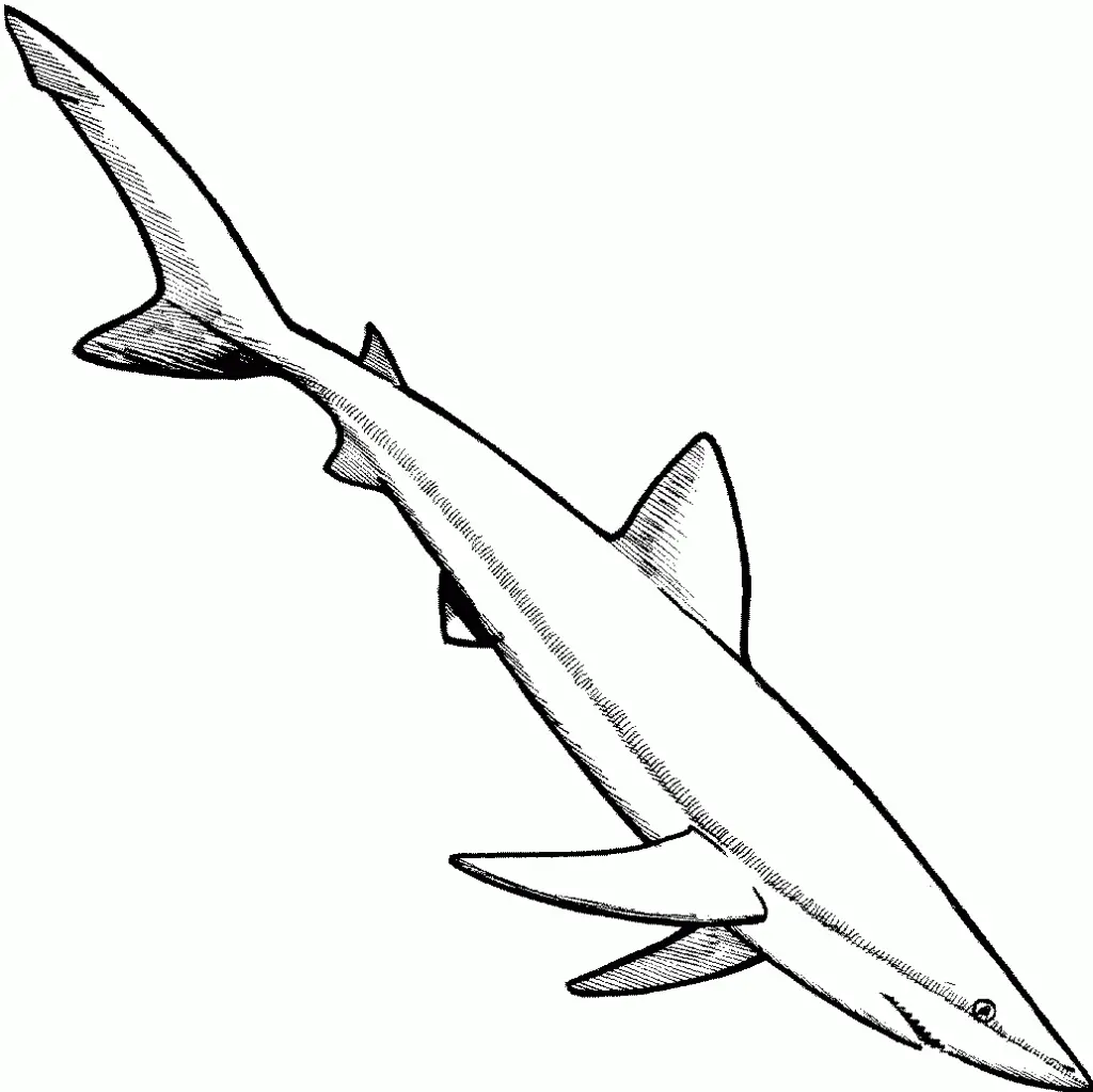 Sharks Coloring Pages – 018