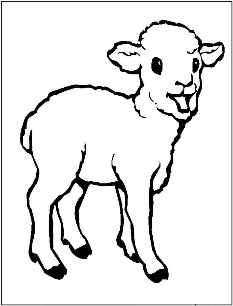 Sheep – 014