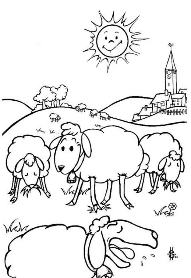 Sheep – 015
