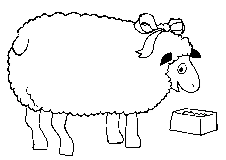 Sheep – 018