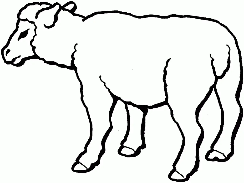 Sheep Coloring Pages – 021