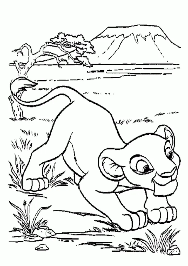 Simba – 012
