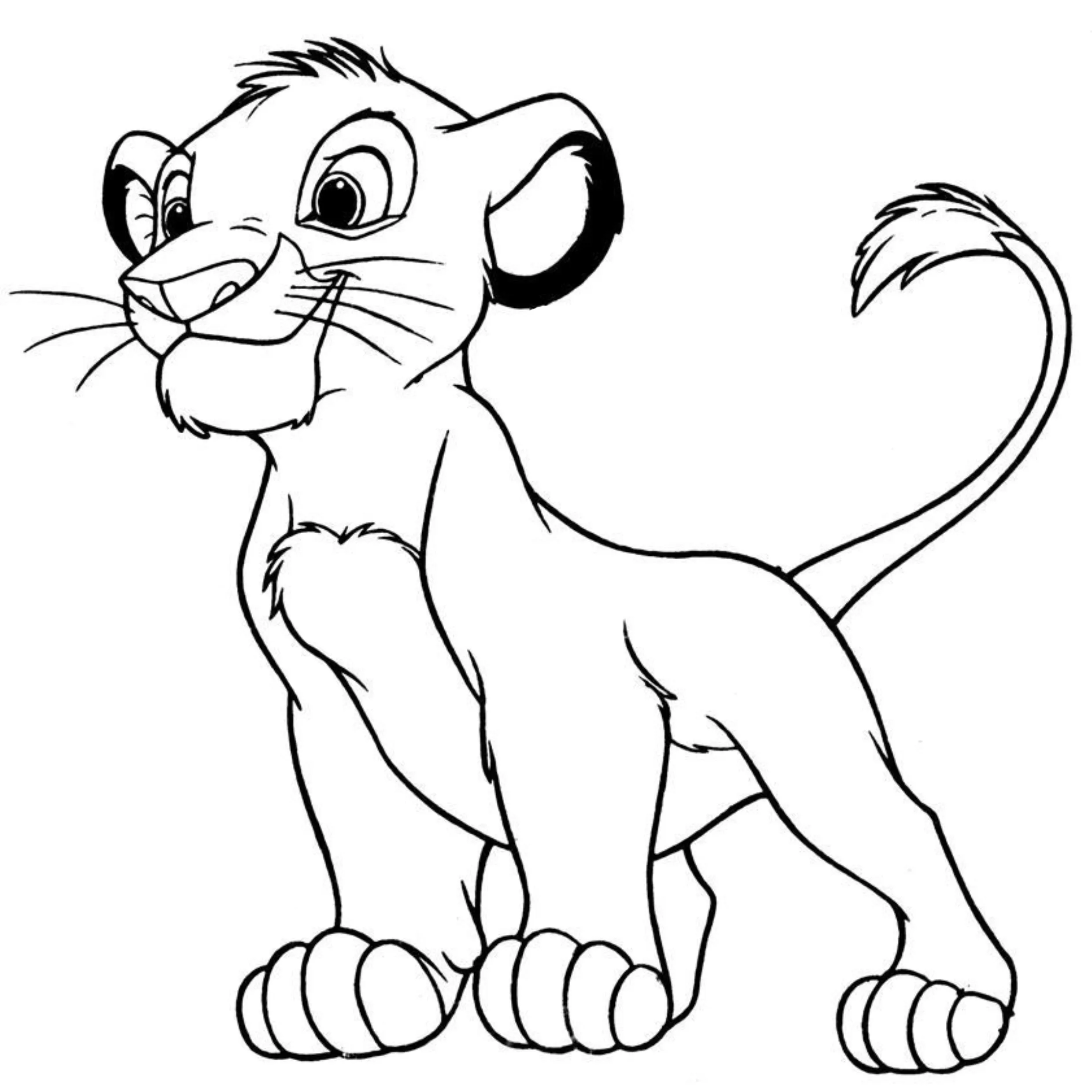 Simba – 015