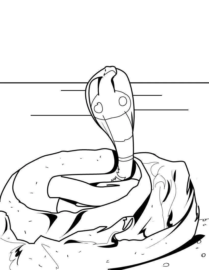 Snakes – 002