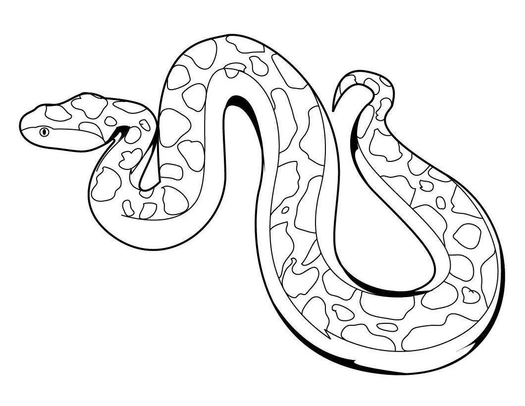 Snakes – 007