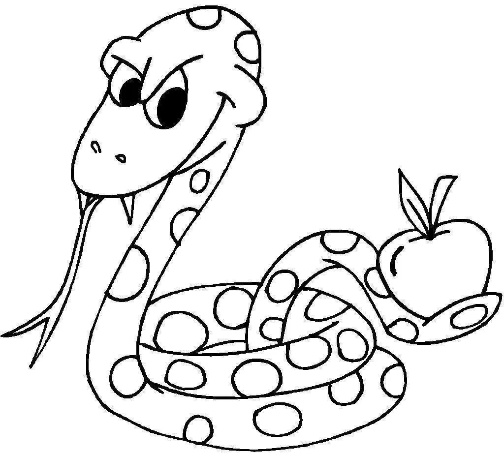Snakes – 012