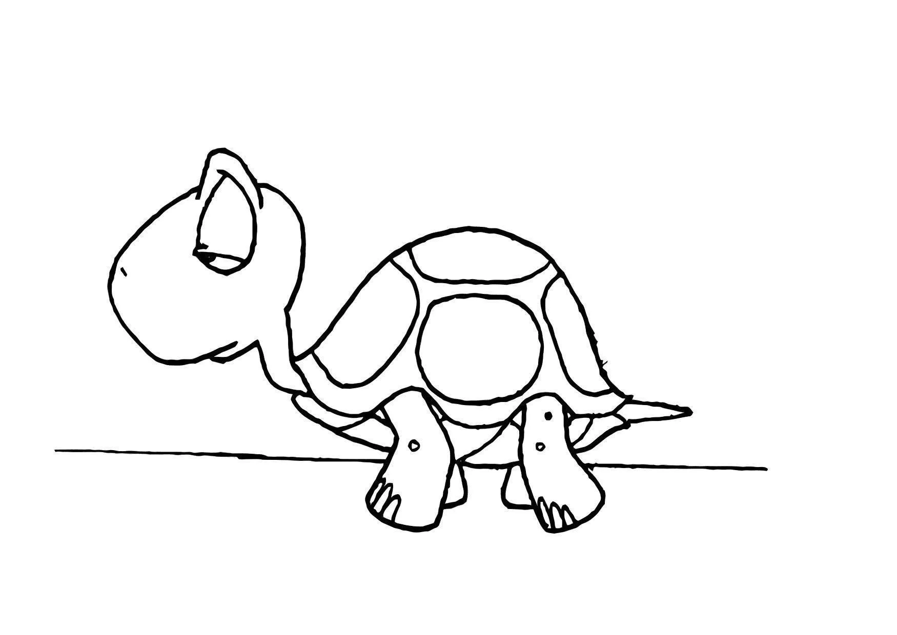 Turtles Coloring Pages – 002
