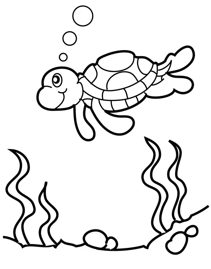 Turtles Coloring Pages – 006