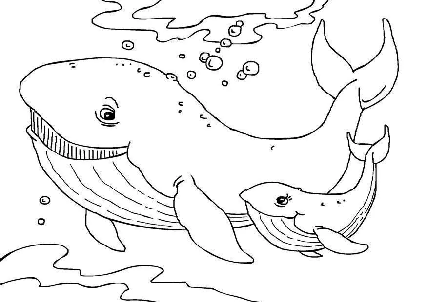 Whales Coloring Pages – 005
