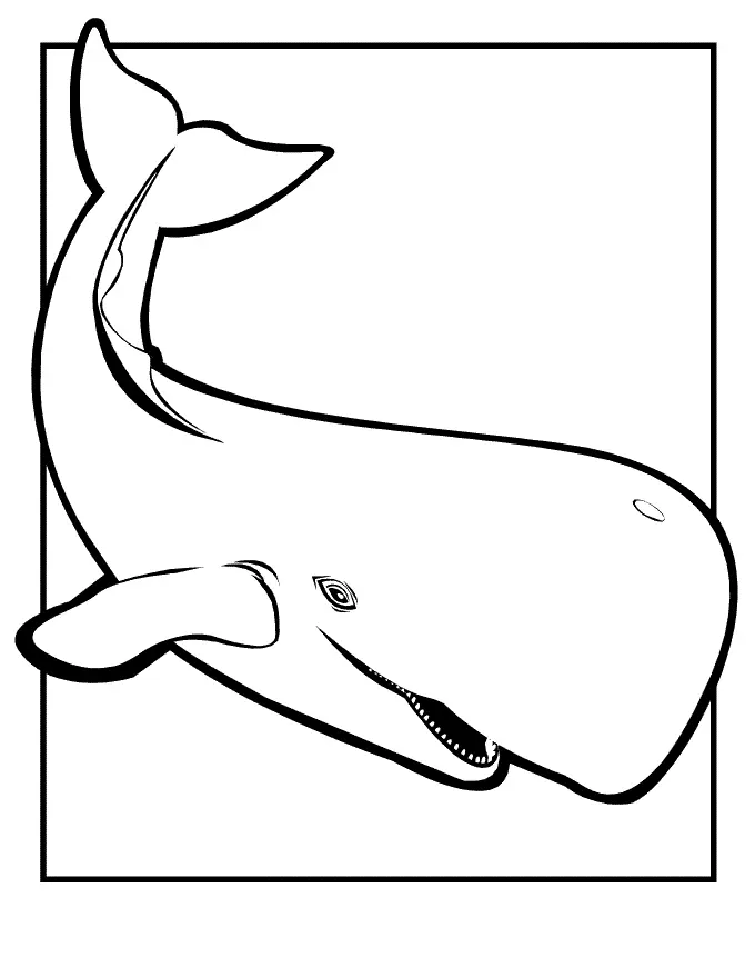 Whales Coloring Pages – 007