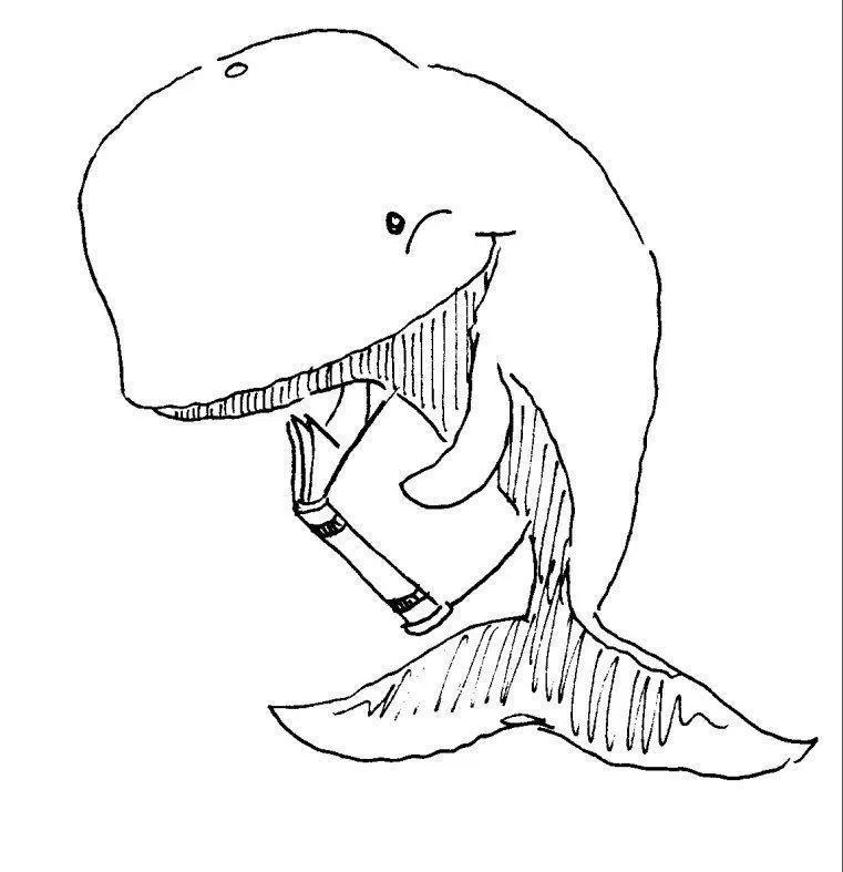 Whales Coloring Pages – 010