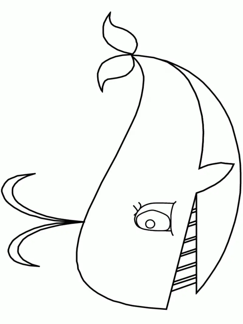 Whales Coloring Pages – 012