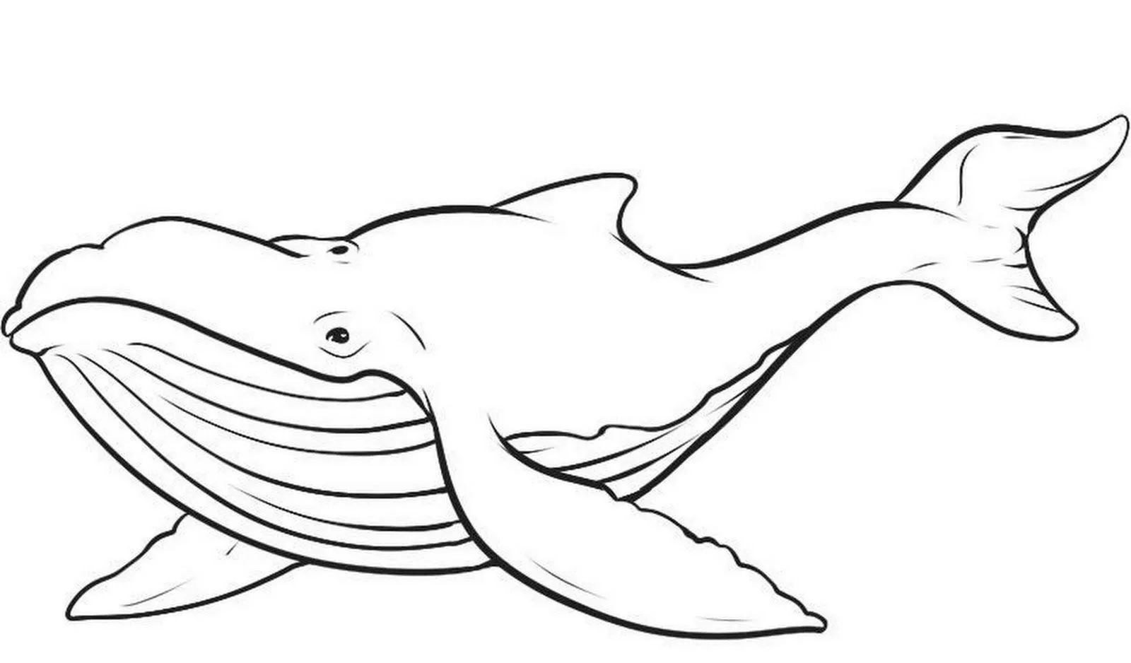 Whales Coloring Pages – 017