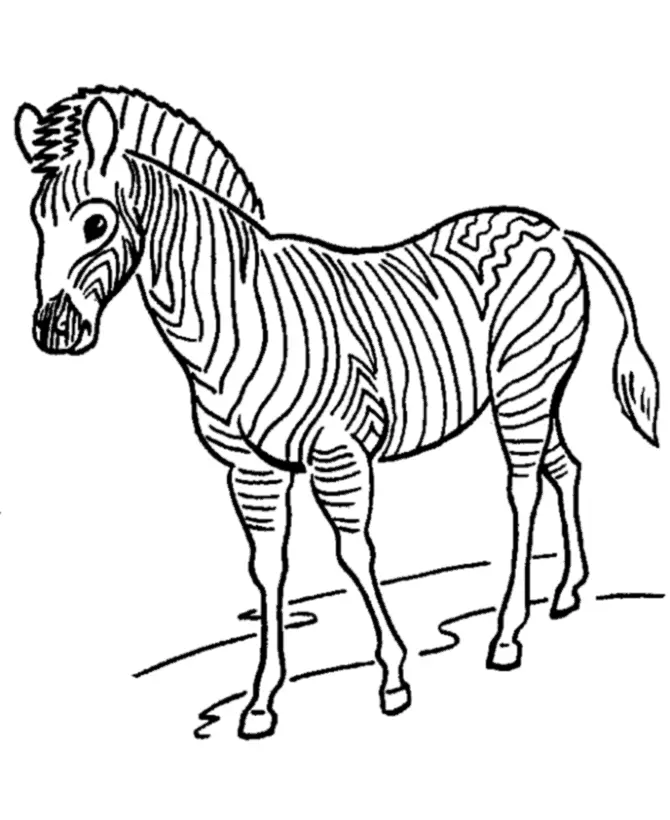 Zebras Coloring Pages – 004