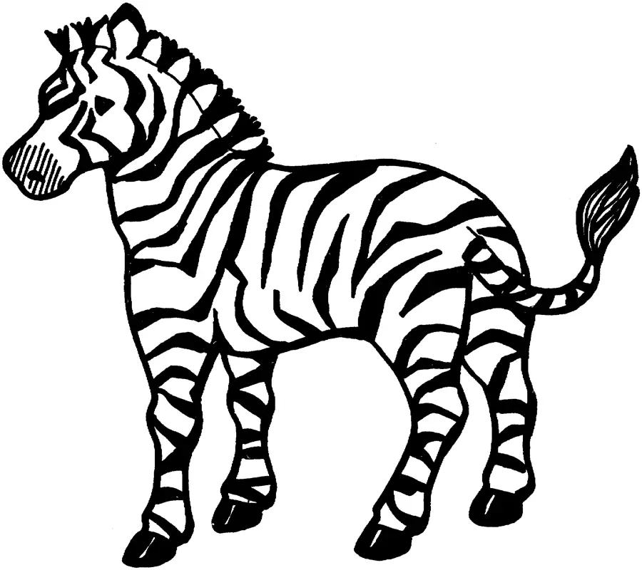 Zebras Coloring Pages – 007