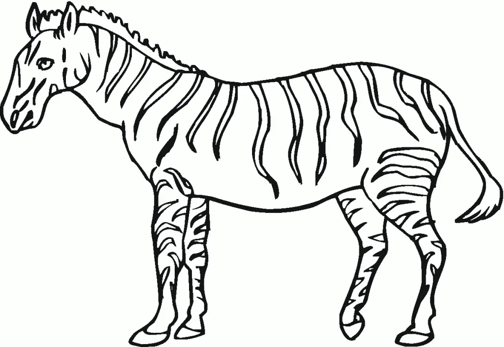 Zebras Coloring Pages – 009