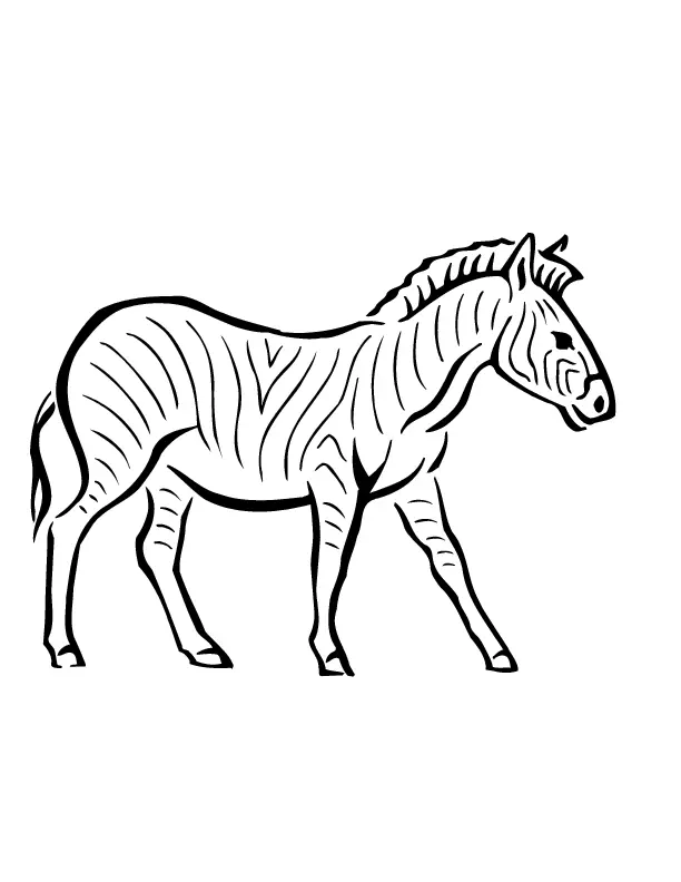 Zebras Coloring Pages – 010