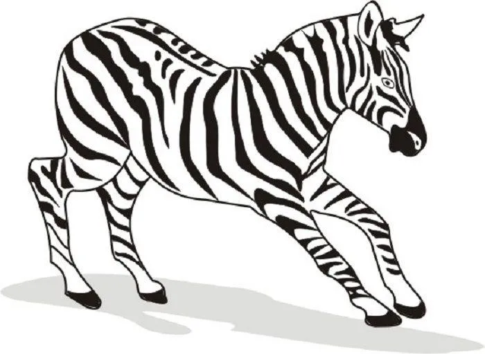 Zebras Coloring Pages – 013