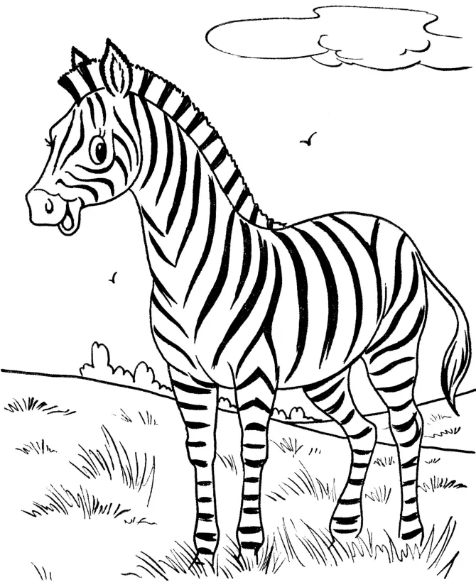 Zebras Coloring Pages – 016
