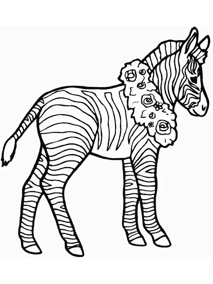 Zebras Coloring Pages – 017